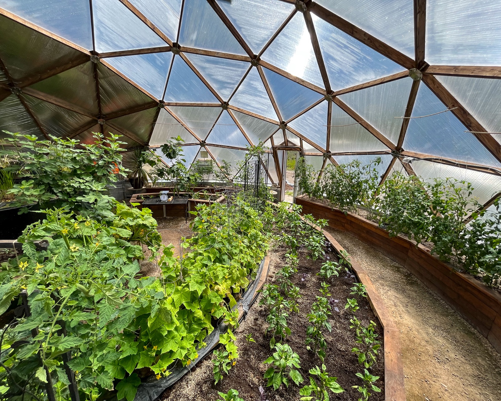 Interior view of a 42-foot Growing Dome