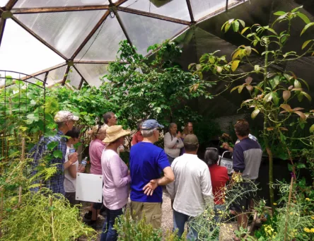 Visitors touring the inside of a planted geodesic growing dome